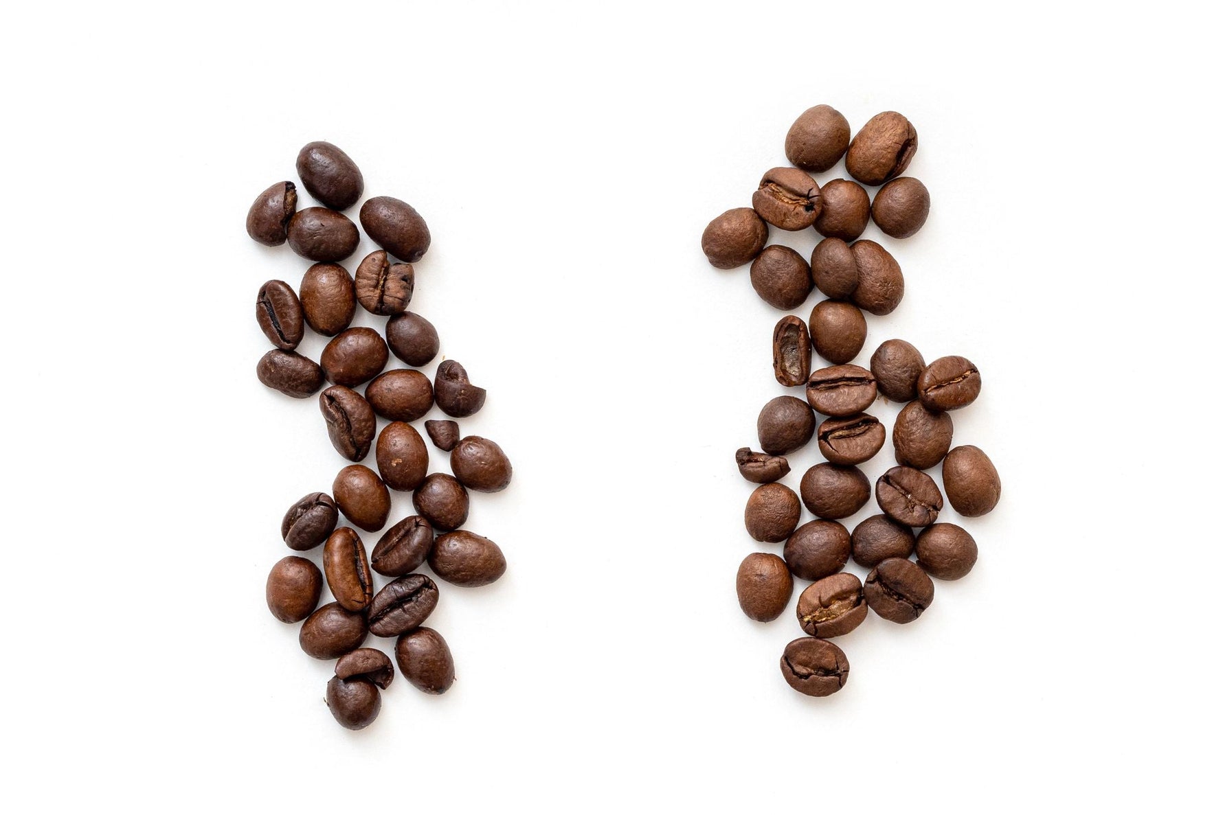 Arabica und Robusta der Unterschied