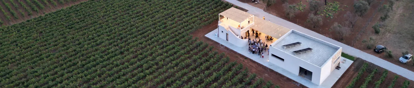 Cantine Bonsegna