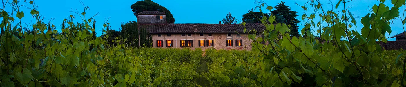 Società Agricola Conti Ducco