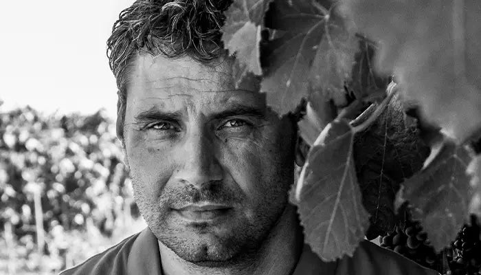 bonsegna alessandro weinkantine apulien