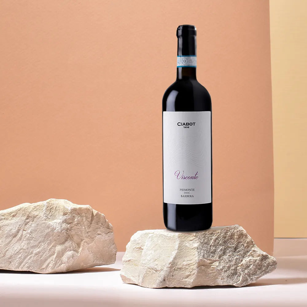 Ciabot Visconte Barbera | 0,75 l Flasche