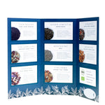 teekarte von difiore tea creation für gastronomie