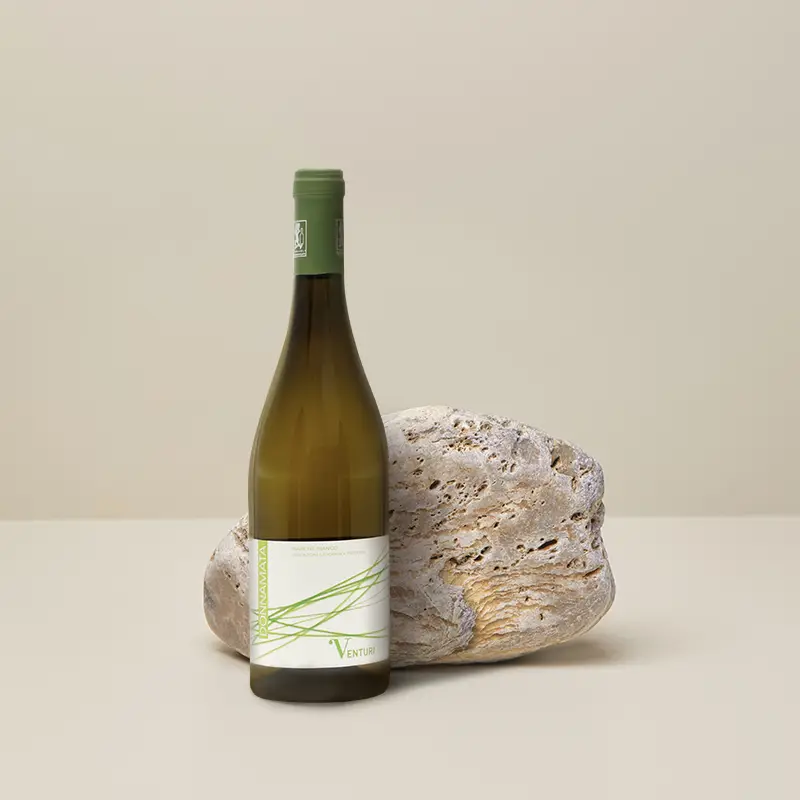 Italienischer weißwein von venturi aus den marchen italien