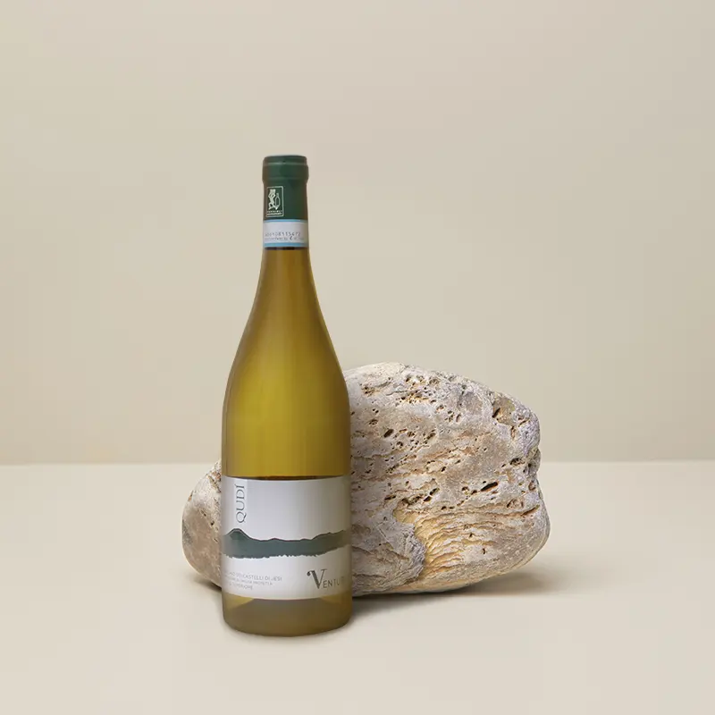 italienischer weißwein aus italien von roberto venturi qudi verdicchio